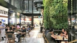 必打卡 · 超高颜值人气新加坡Cafe：网红咖啡厅推荐！